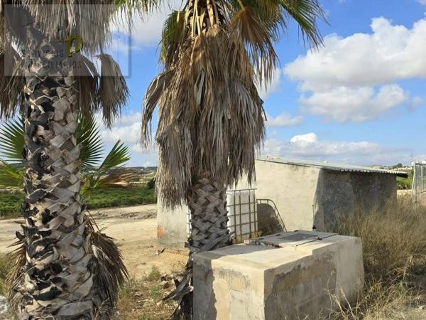 Terreno en camino del Barbunyo, 5