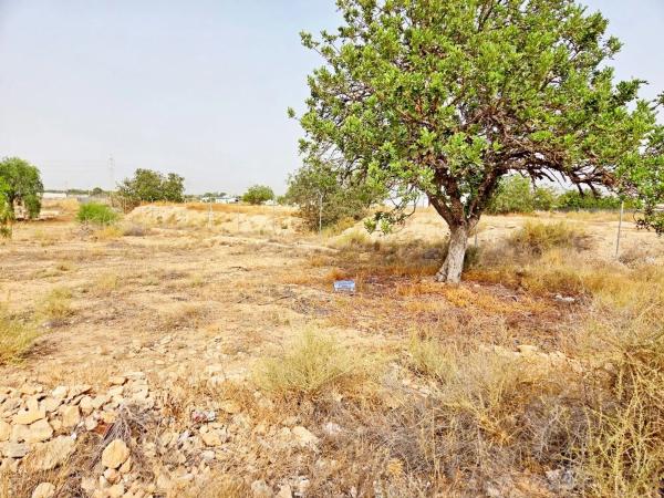 Terreno en calle de la Baiona Baixa s/n Sn