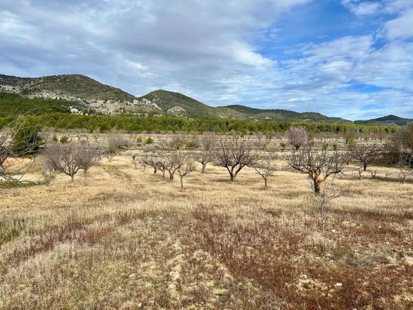 Terreno en calle Barranc De Horta s/n