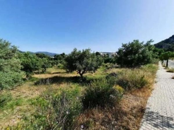 Terreno en Barri Eixample