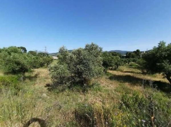 Terreno en Barri Eixample