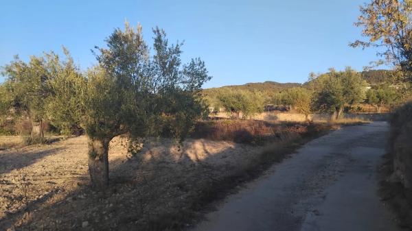 Terreno en Partida Plans