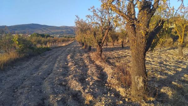 Terreno en Partida Plans