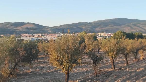 Terreno en Partida Plans