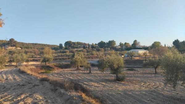 Terreno en Partida Plans