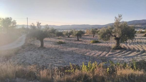 Terreno en Partida Plans