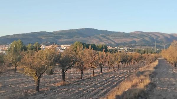 Terreno en Partida Plans