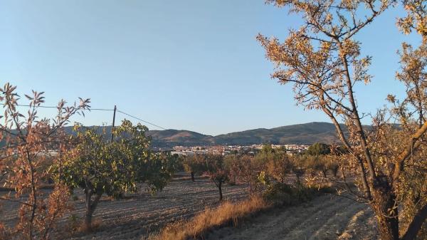 Terreno en Partida Plans