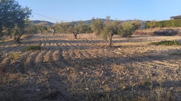 Terreno en Partida Plans