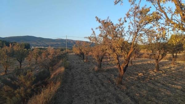 Terreno en Partida Plans