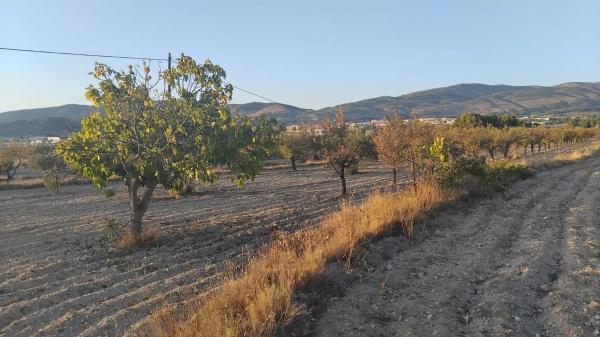 Terreno en Partida Plans