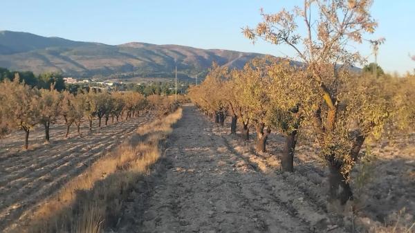 Terreno en Partida Plans