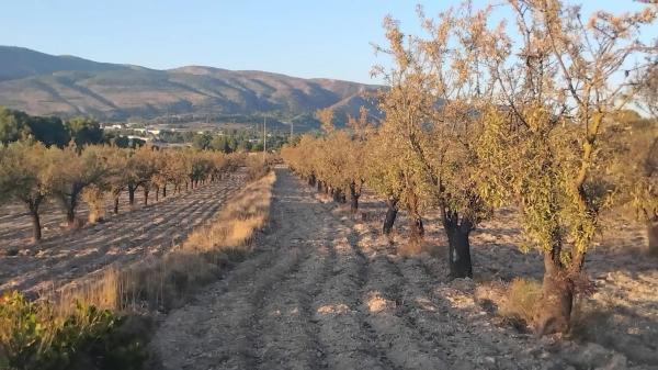 Terreno en Partida Plans