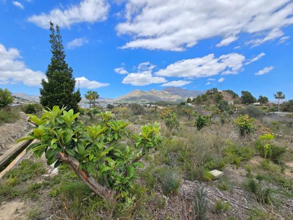 Terreno en calle Carrasquetes