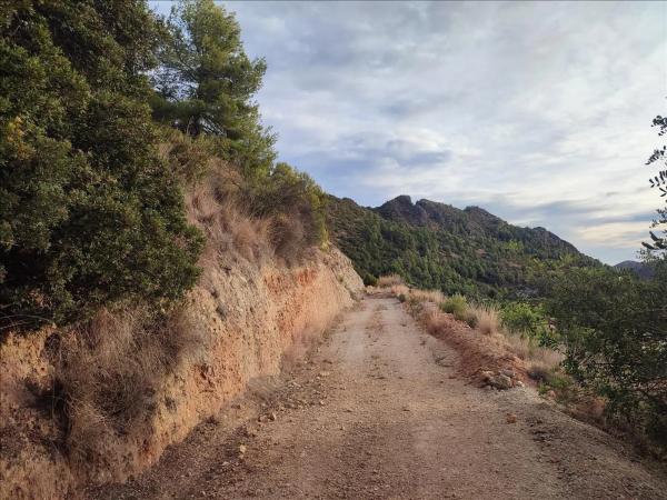 Terreno en calle Font