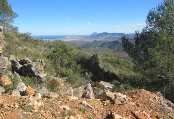 Terreno en calle Font