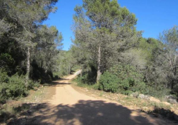 Terreno en calle Font