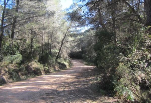 Terreno en calle Font