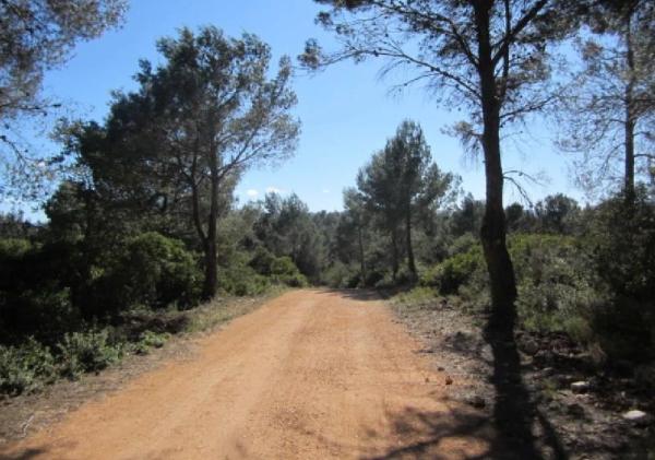 Terreno en calle Font