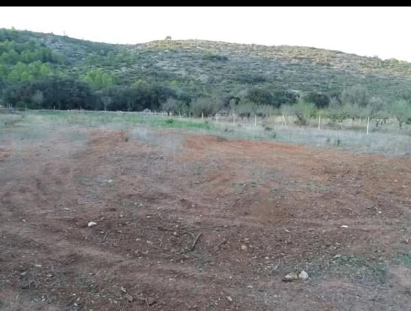 Terreno en calle Major, 10