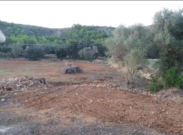 Terreno en calle Major, 10