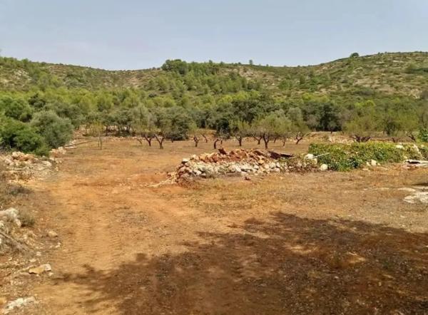 Terreno en calle Major, 10