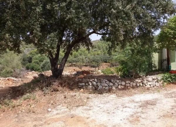 Terreno en calle Major, 10