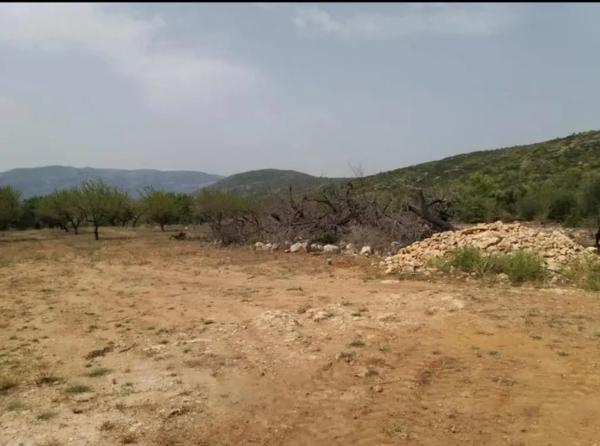 Terreno en calle Major, 10