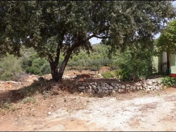 Terreno en calle Major, 10