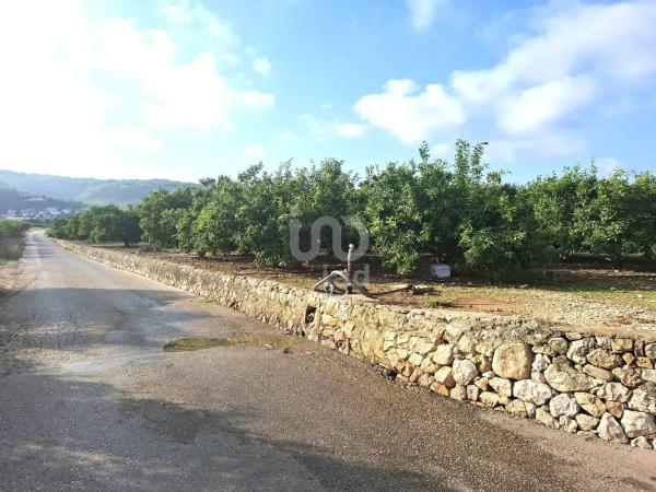 Terreno en calle Santa Bárbara, 9 -1