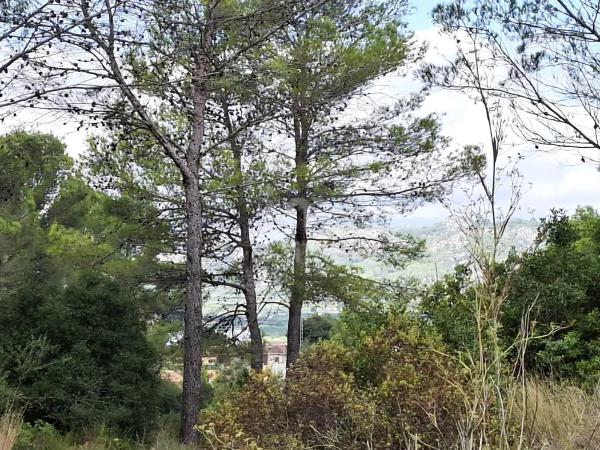 Terreno en calle Santa Bárbara, 9 -1