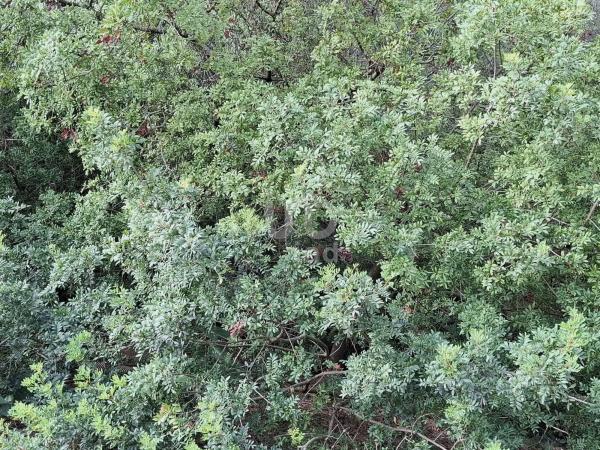 Terreno en calle Santa Bárbara, 9 -1