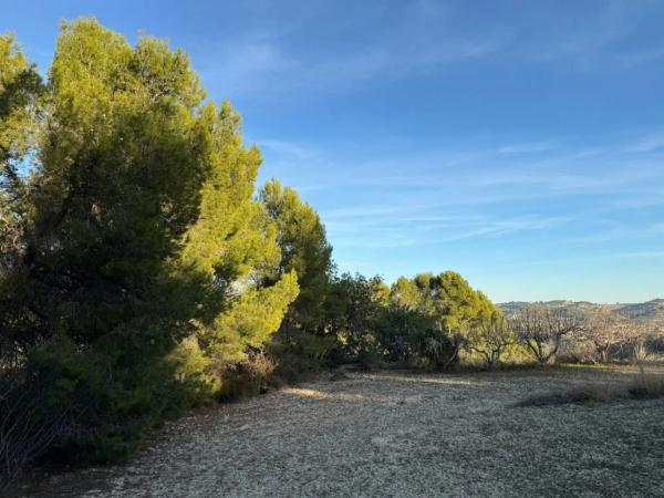Terreno en Benissa pueblo