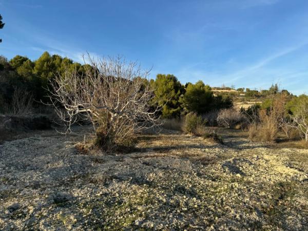 Terreno en Benissa pueblo