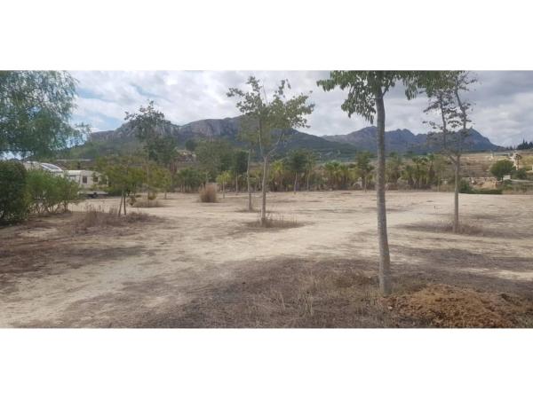 Terreno en Cometa-Carrió