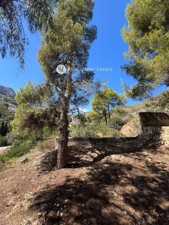 Terreno en Urbanización Canuta de Ifach
