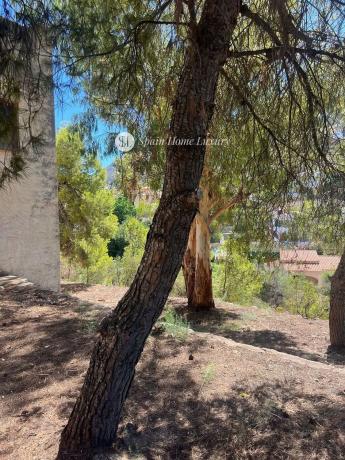 Terreno en Urbanización Canuta de Ifach