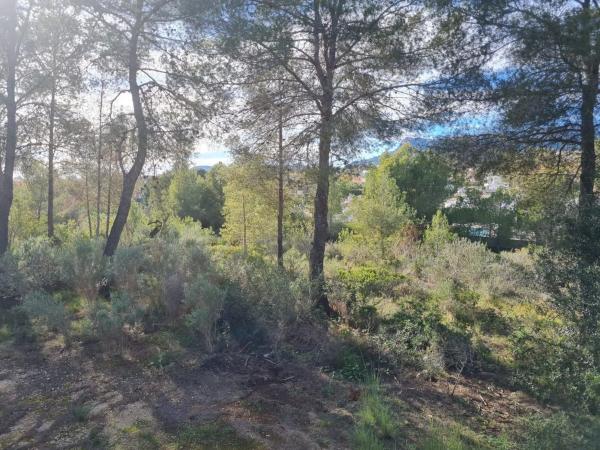 Terreno en Gargasindi