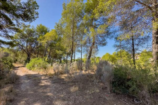 Terreno en Gargasindi