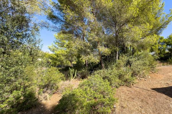 Terreno en Gargasindi