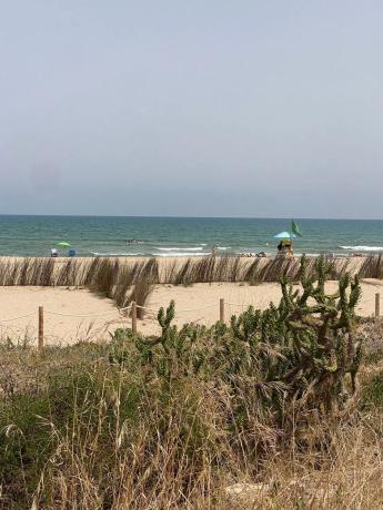 Terreno en calle Riu Vernissa