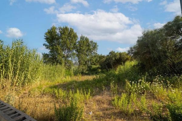 Terreno en carretera les Marines Racons a Dénia, 51
