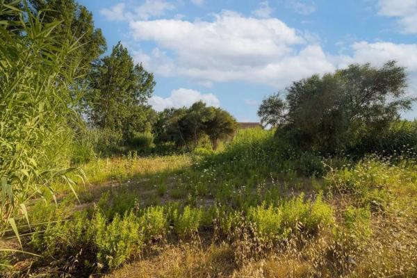 Terreno en carretera les Marines Racons a Dénia, 51