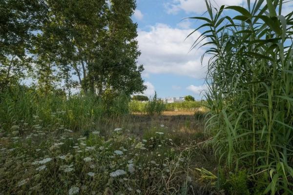 Terreno en carretera les Marines Racons a Dénia, 51