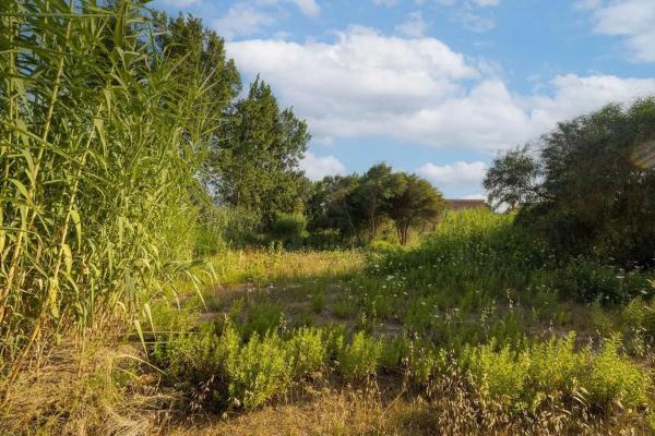 Terreno en carretera les Marines Racons a Dénia, 51