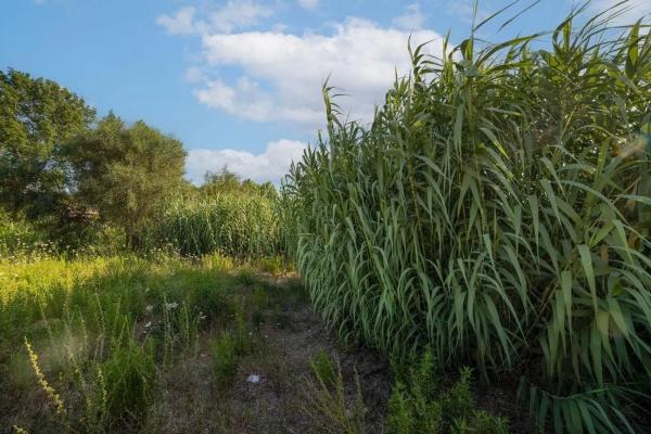 Terreno en carretera les Marines Racons a Dénia, 51
