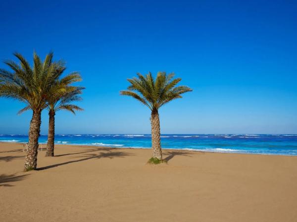 Terreno en El Montgó