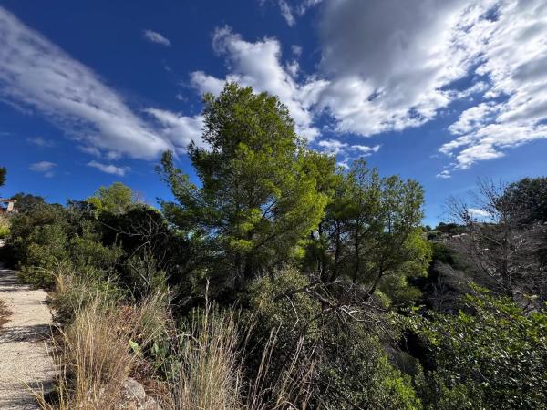 Terreno en El Montgó