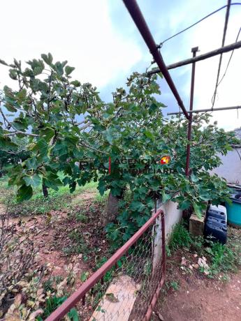 Terreno en La Pedrera-Vessanes