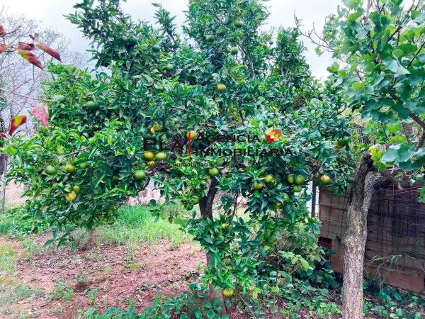 Terreno en La Pedrera-Vessanes
